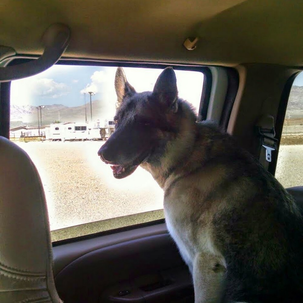 Meet your Posher, Redmond